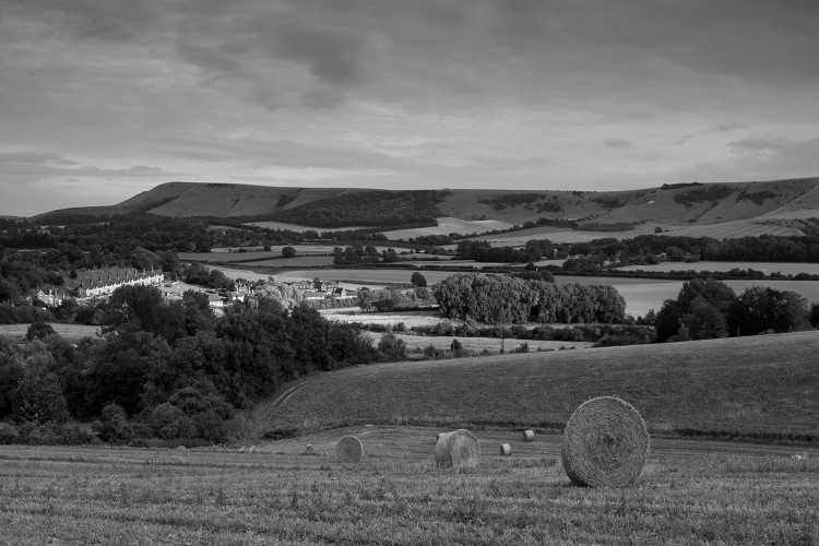Glynde haybales