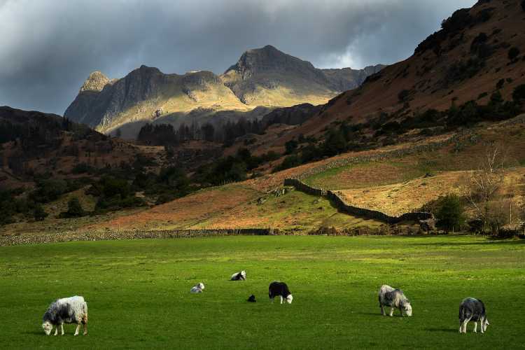 Langdale Pikes