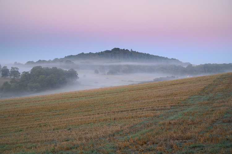 St Martha's in the mist