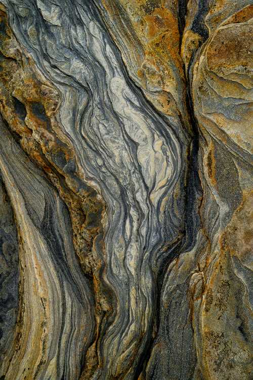 A river runs through it