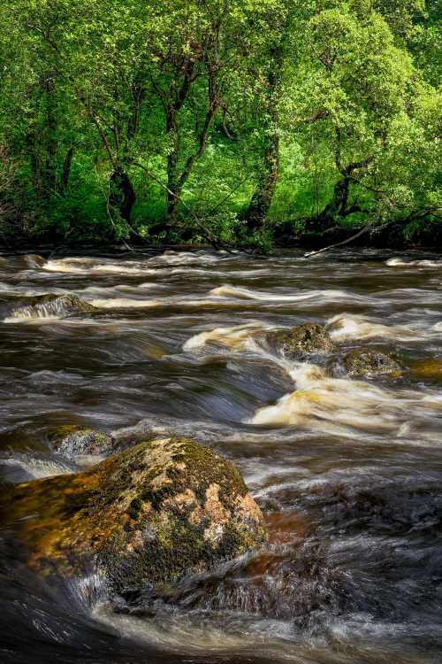 Hop, skip and a jump