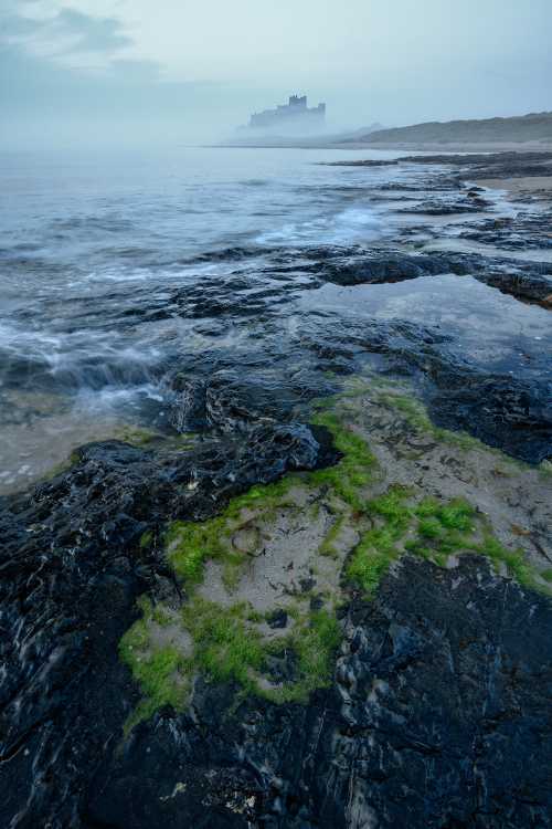 Bamburgh Castle mist