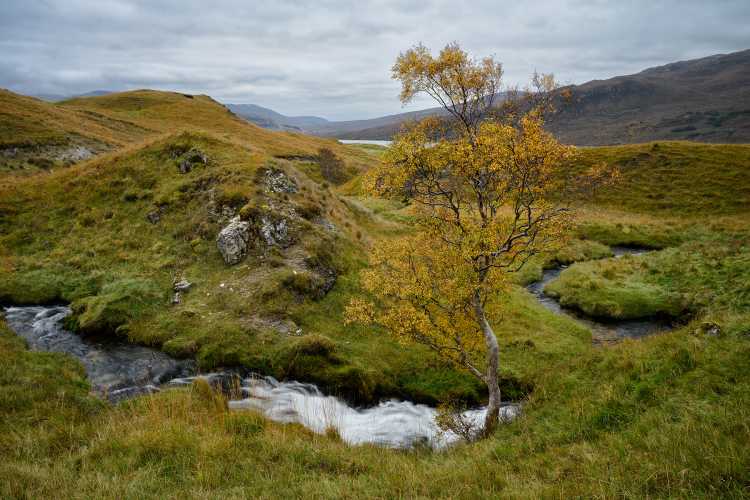 Going round the bend