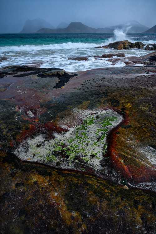 The heart of the matter